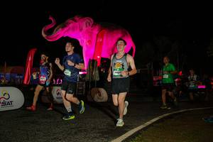 BIB: 
                            <button type="button" onclick="openModal(26534341)" class="btn btn-primary btn-sm float-right btn-popup" data-toggle="modal" data-target=".modal-high-quality">
                        <i class="fas fa-shopping-cart"></i> Add to Cart
                    </button>
                                            <button type="button" onclick="isThisMe(26534341, true)" class="btn btn-success btn-sm float-right btn-popup btn-isme hidden" data-toggle="tooltip" data-placement="bottom" title="นี่คือรูปของคุณใช่ไหม คลิกที่นี่เพื่อเอาเข้าอัลบั้ม">
                        <i class="fas fa-plus"></i> Add to album
                    </button>
                    <button type="button" onclick="isThisMe(26534341, false)" class="btn btn-warning btn-sm float-right btn-popup btn-isnotme hidden">
                        <i class="fas fa-ban"></i> Remove from album
                    </button>